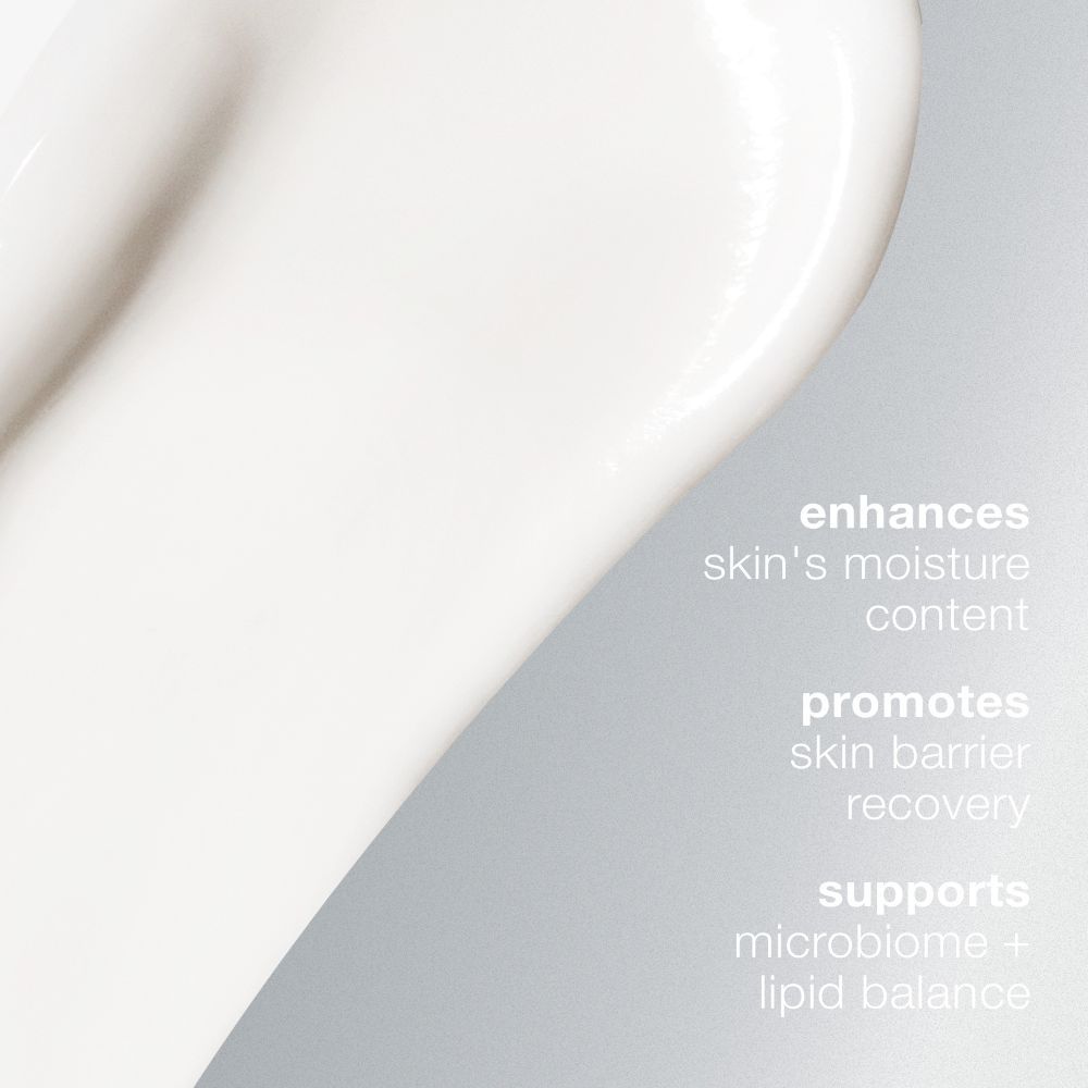 Intensive Moisture Balance - Image 2